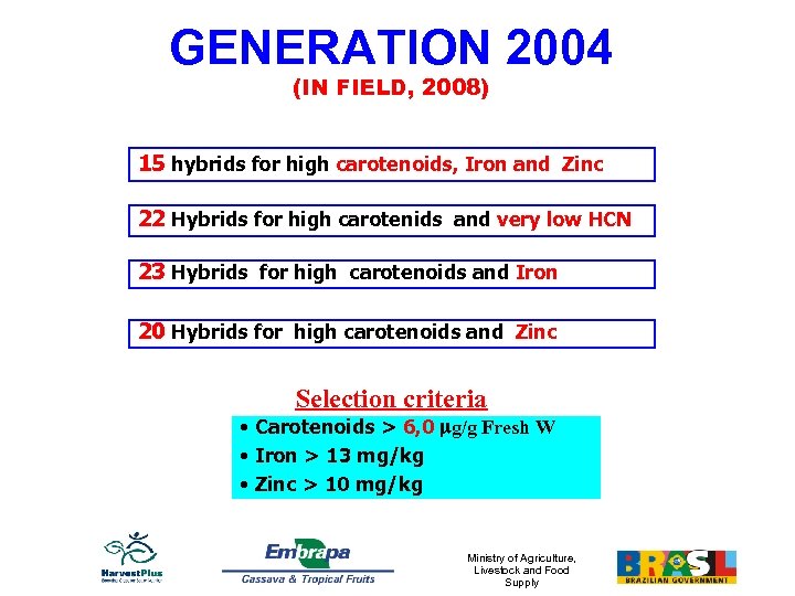 GENERATION 2004 (IN FIELD, 2008) 15 hybrids for high carotenoids, Iron and Zinc 22