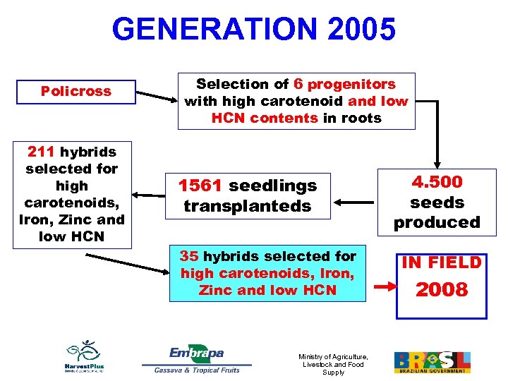 GENERATION 2005 Policross 211 hybrids selected for high carotenoids, Iron, Zinc and low HCN