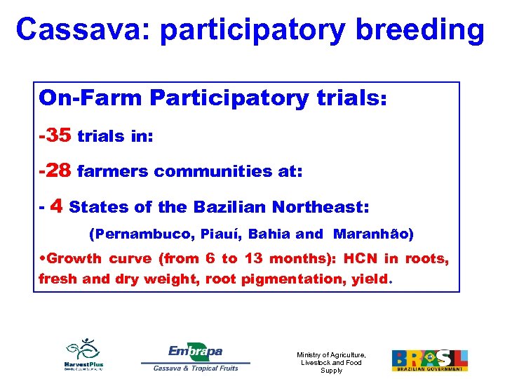 Cassava: participatory breeding On-Farm Participatory trials: -35 trials in: -28 farmers communities at: -