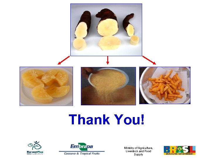 Thank You! Ministry of Agriculture, Livestock and Food Supply 