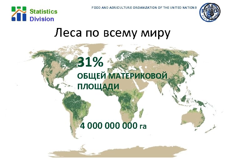 Statistics Division FOOD AND AGRICULTURE ORGANIZATION OF THE UNITED NATIONS Леса по всему миру