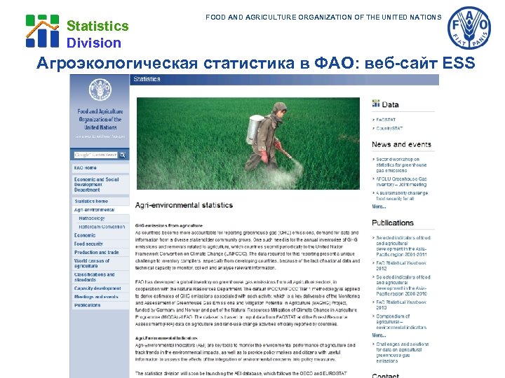 Statistics Division FOOD AND AGRICULTURE ORGANIZATION OF THE UNITED NATIONS Агроэкологическая статистика в ФАО: