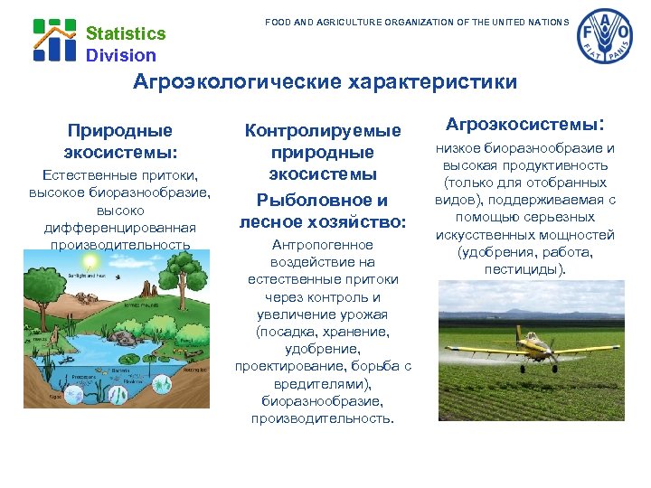 Statistics Division FOOD AND AGRICULTURE ORGANIZATION OF THE UNITED NATIONS Агроэкологические характеристики Природные экосистемы: