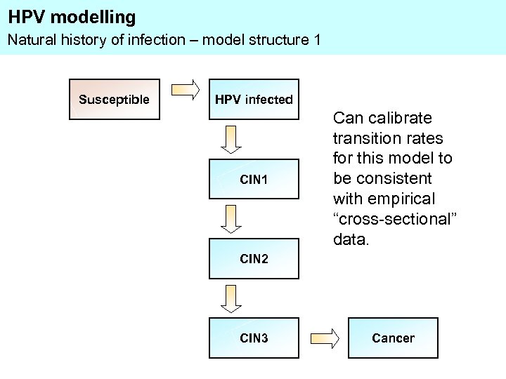 HPV modelling Natural history of infection – model structure 1 Susceptible HPV infected CIN