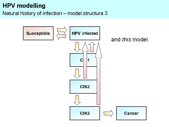 HPV modelling Natural history of infection – model structure 3 Susceptible HPV infected and