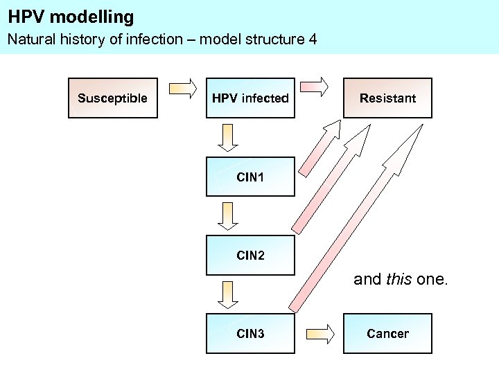 HPV modelling Natural history of infection – model structure 4 Susceptible HPV infected Resistant