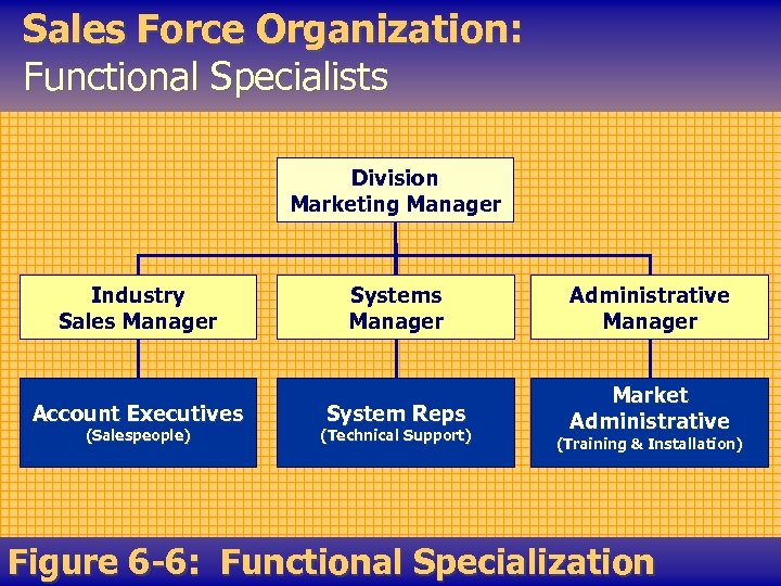 Sales Force Organization: Functional Specialists Division Marketing Manager Industry Sales Manager Account Executives (Salespeople)