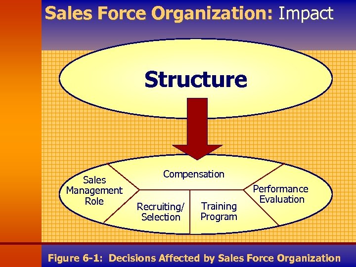 Sales Force Organization: Impact Structure Sales Management Role Compensation Recruiting/ Selection Training Program Performance