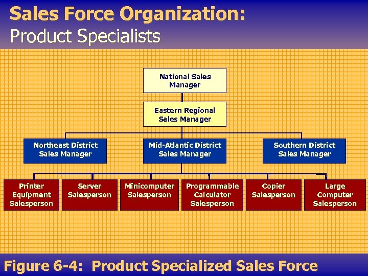 Sales Force Organization: Product Specialists National Sales Manager Eastern Regional Sales Manager Northeast District