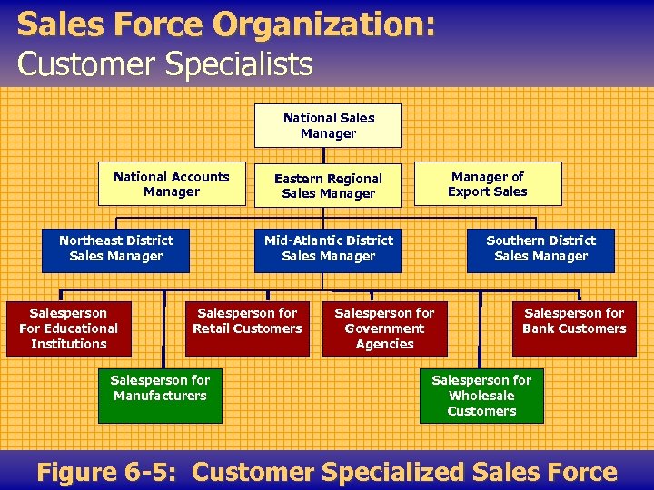 Sales Force Organization: Customer Specialists National Sales Manager National Accounts Manager Northeast District Sales