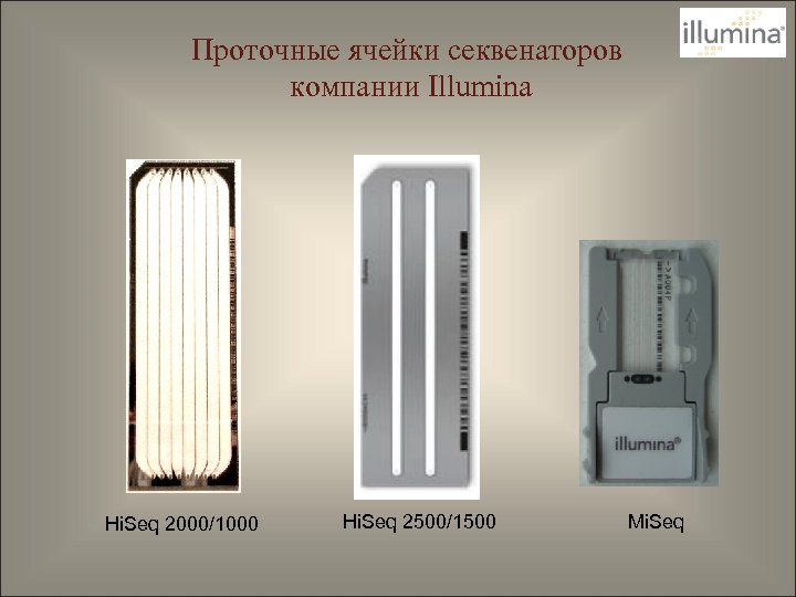 Проточные ячейки секвенаторов компании Illumina Hi. Seq 2000/1000 Hi. Seq 2500/1500 Mi. Seq 