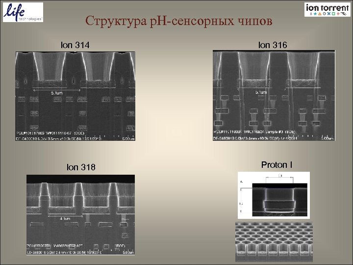 Структура p. H-сенсорных чипов Ion 314 Ion 318 Ion 316 Proton I 