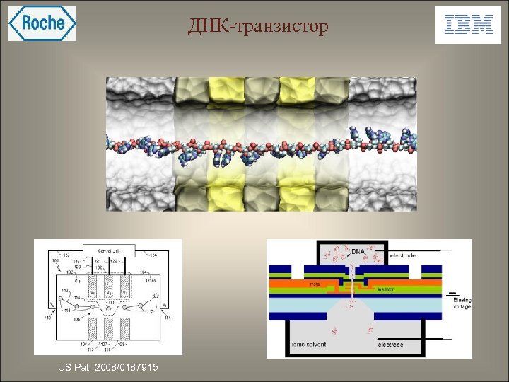 ДНК-транзистор US Pat. 2008/0187915 