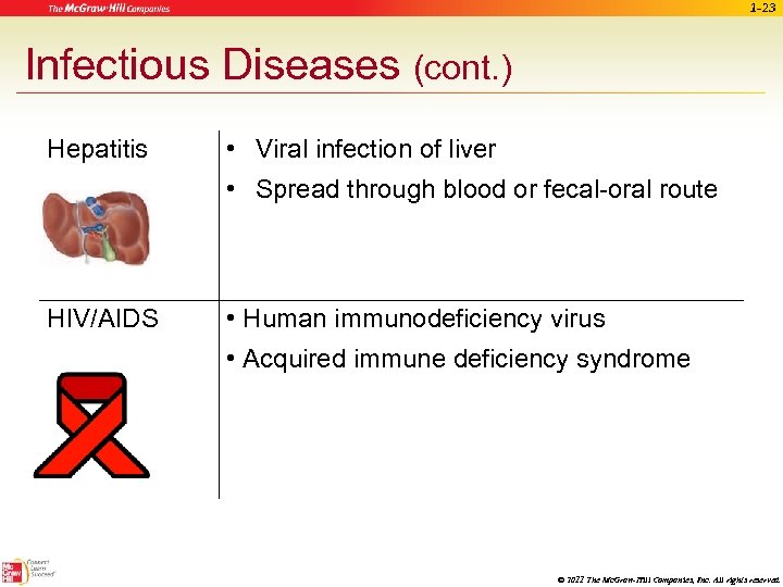 1 -23 Infectious Diseases (cont. ) Hepatitis • Viral infection of liver • Spread