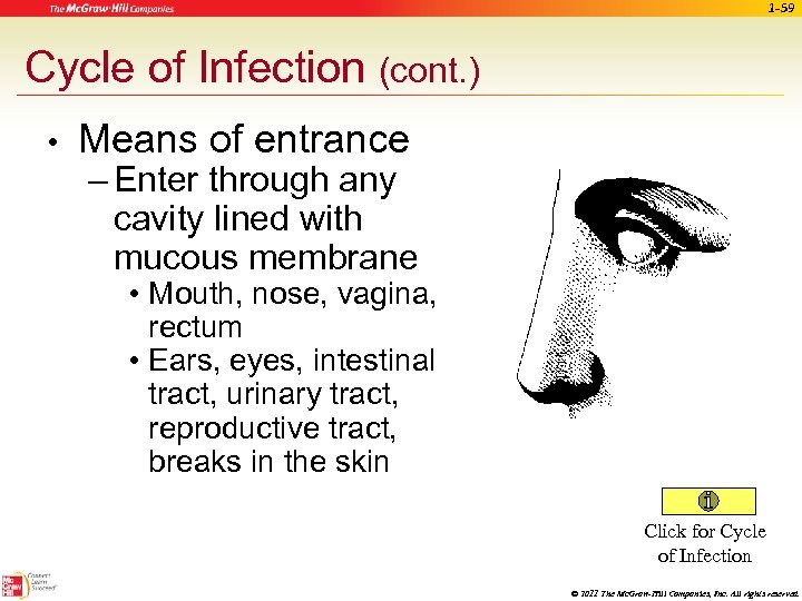 1 -59 Cycle of Infection (cont. ) • Means of entrance – Enter through