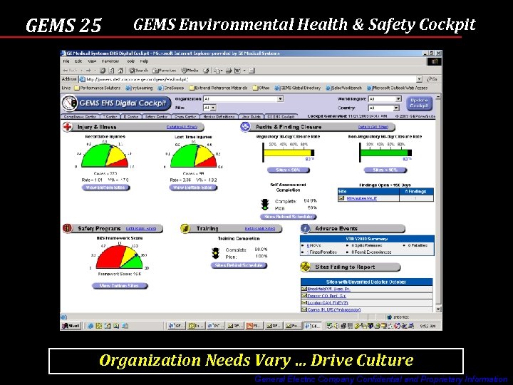 GEMS 25 GEMS Environmental Health & Safety Cockpit Organization Needs Vary … Drive Culture