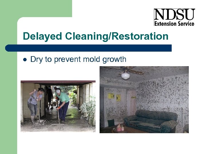 Delayed Cleaning/Restoration l Dry to prevent mold growth 