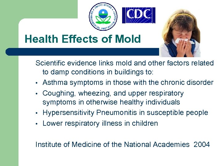 Health Effects of Mold Scientific evidence links mold and other factors related to damp