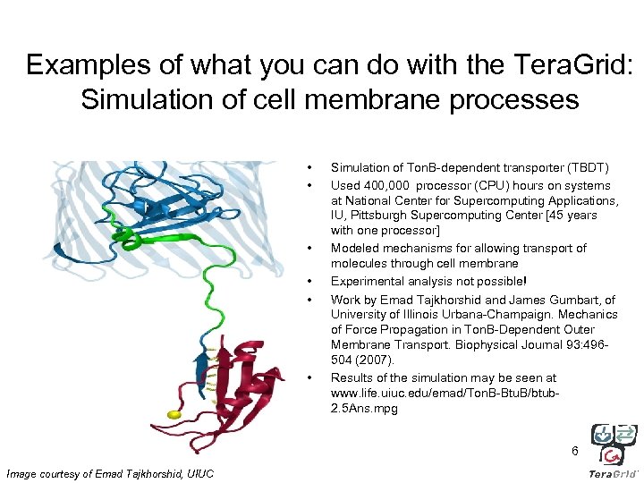 Examples of what you can do with the Tera. Grid: Simulation of cell membrane