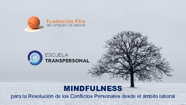 MINDFULNESS para la Resolución de los Conflictos Personales desde el ámbito laboral 