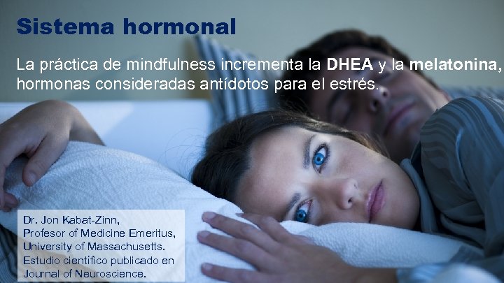 Sistema hormonal La práctica de mindfulness incrementa la DHEA y la melatonina, hormonas consideradas