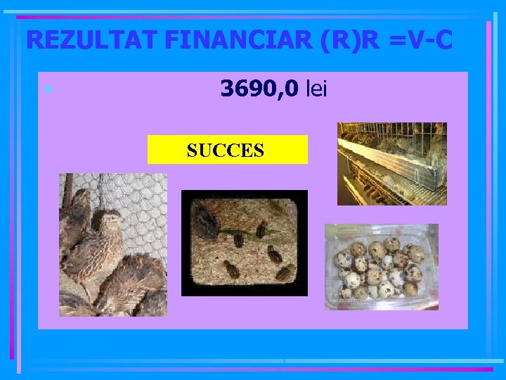 REZULTAT FINANCIAR (R)R =V-C • 3690, 0 lei SUCCES 