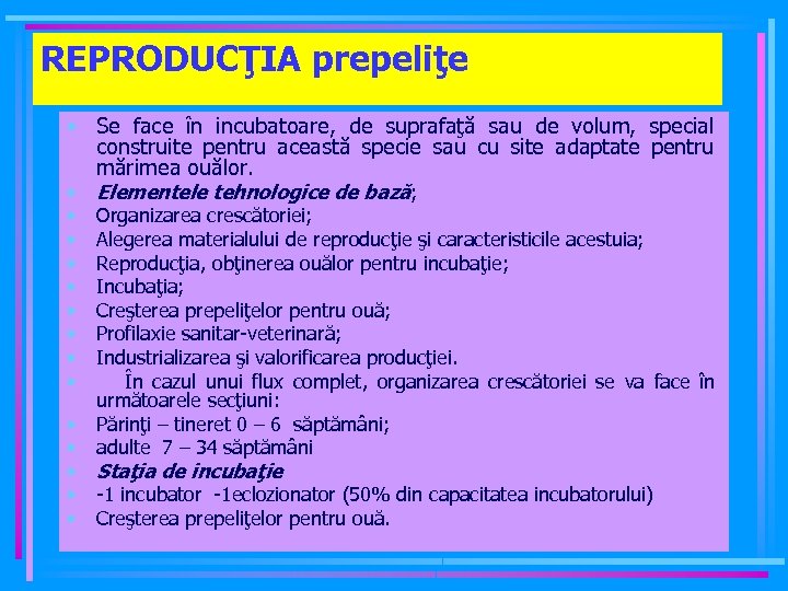 REPRODUCŢIA prepeliţe • Se face în incubatoare, de suprafaţă sau de volum, special construite