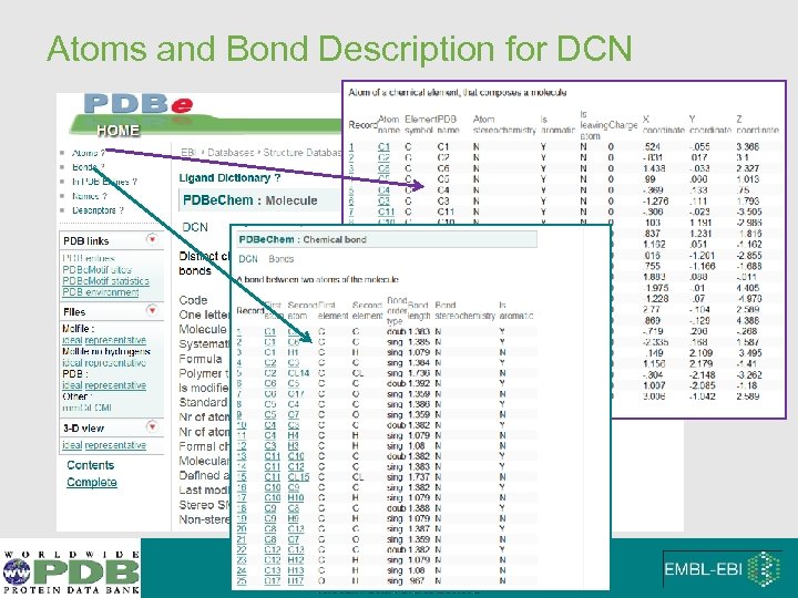 Atoms and Bond Description for DCN 