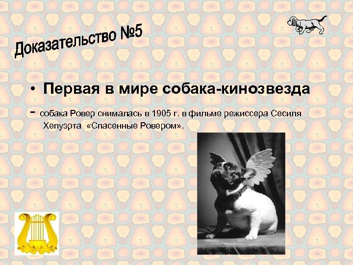  • Первая в мире собака-кинозвезда - собака Ровер снималась в 1905 г. в
