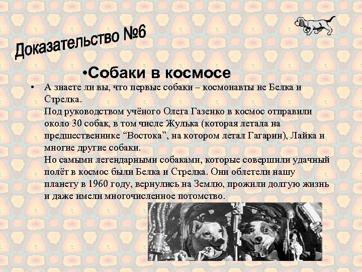  • Собаки в космосе • А знаете ли вы, что первые собаки –