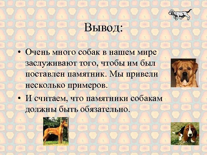 Вывод: • Очень много собак в нашем мире заслуживают того, чтобы им был поставлен