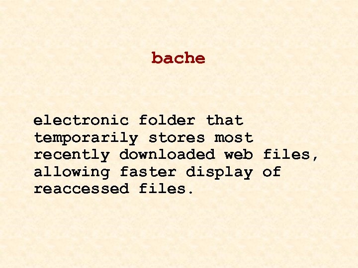 bache electronic folder that temporarily stores most recently downloaded web files, allowing faster display