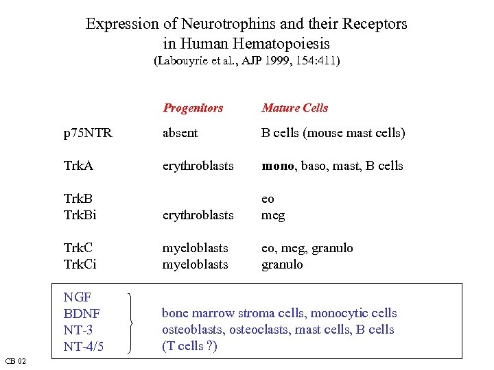 Expression of Neurotrophins and their Receptors in Human Hematopoiesis (Labouyrie et al. , AJP