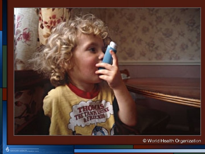 © World Health Organization 