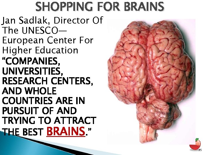 SHOPPING FOR BRAINS Jan Sadlak, Director Of The UNESCO— European Center For Higher Education