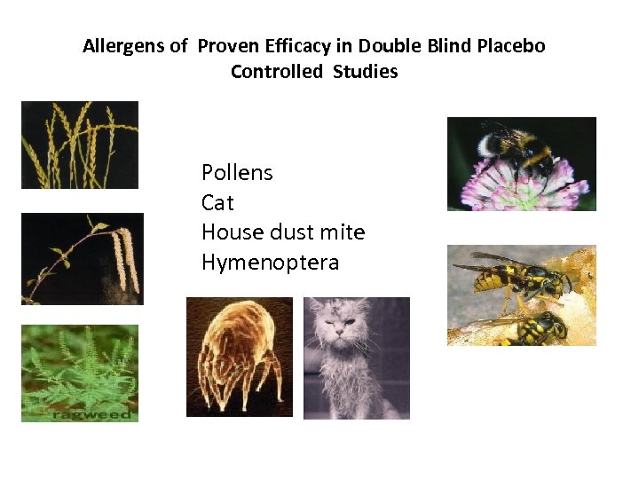 Allergens of Proven Efficacy in Double Blind Placebo Controlled Studies Pollens Cat House dust