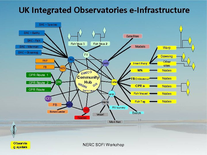 UK Integrated Observatories e-Infrastructure DAC – Species DAC – Bathy Satellites DAC - Fish