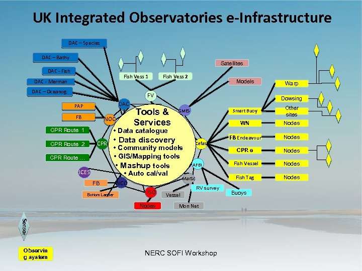 UK Integrated Observatories e-Infrastructure DAC – Species DAC – Bathy Satellites DAC - Fish
