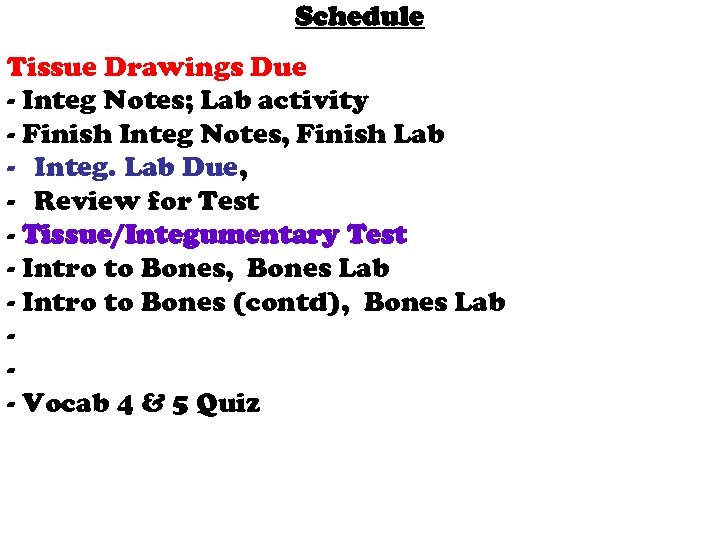 Schedule Tissue Drawings Due - Integ Notes; Lab activity - Finish Integ Notes, Finish