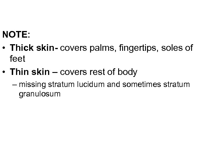 NOTE: • Thick skin- covers palms, fingertips, soles of feet • Thin skin –