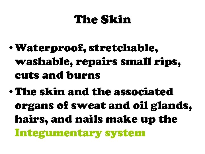 The Skin • Waterproof, stretchable, washable, repairs small rips, cuts and burns • The