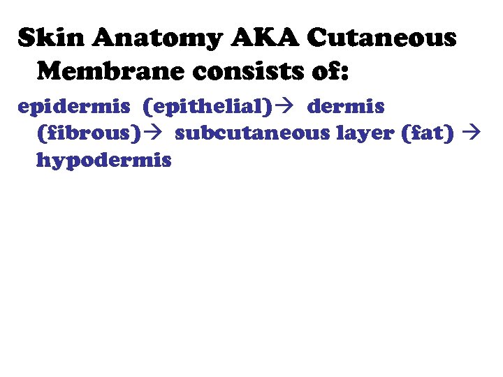 Skin Anatomy AKA Cutaneous Membrane consists of: epidermis (epithelial) dermis (fibrous) subcutaneous layer (fat)