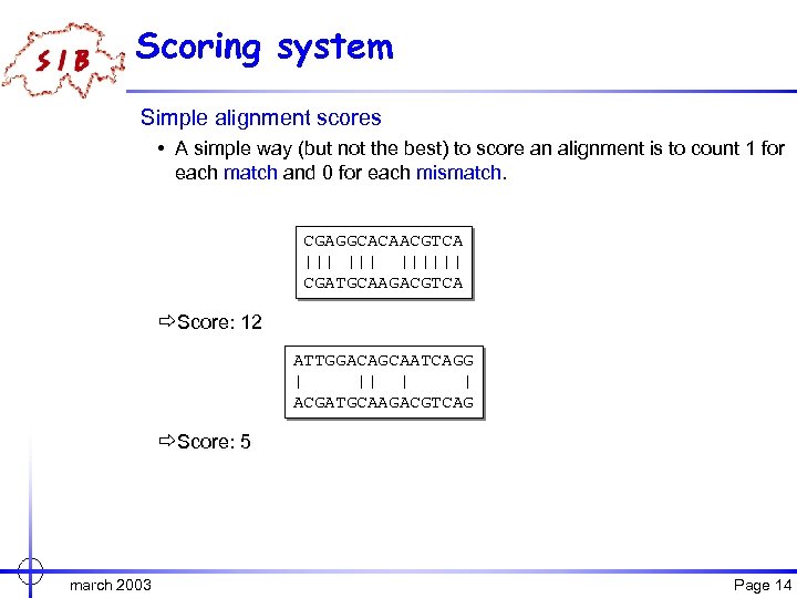 Scoring system Simple alignment scores • A simple way (but not the best) to