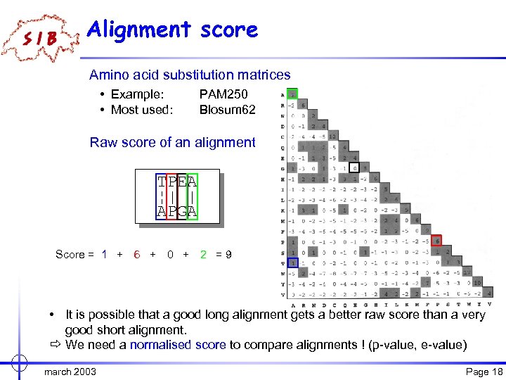 Alignment score Amino acid substitution matrices • Example: • Most used: PAM 250 Blosum