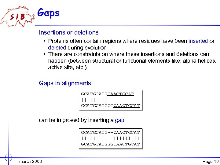 Gaps Insertions or deletions • Proteins often contain regions where residues have been inserted