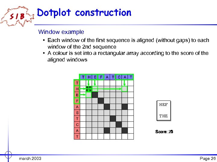 Dotplot construction Window example • Each window of the first sequence is aligned (without