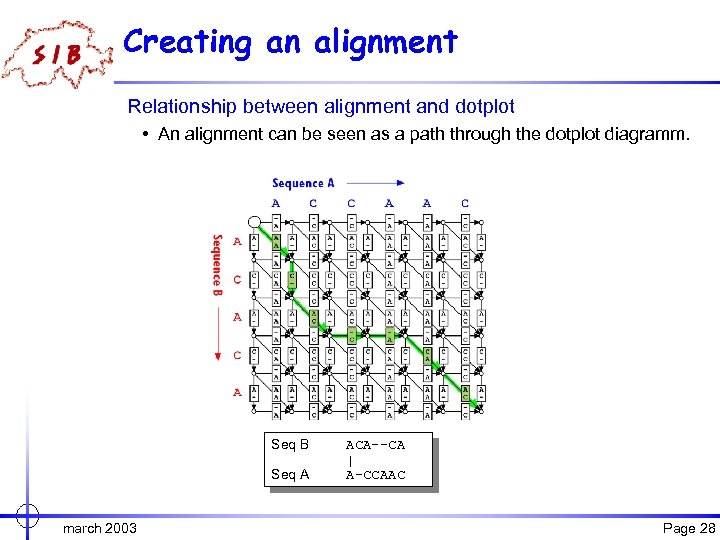 Creating an alignment Relationship between alignment and dotplot • An alignment can be seen