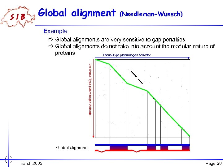 Global alignment (Needleman-Wunsch) Example ð Global alignments are very sensitive to gap penalties ð