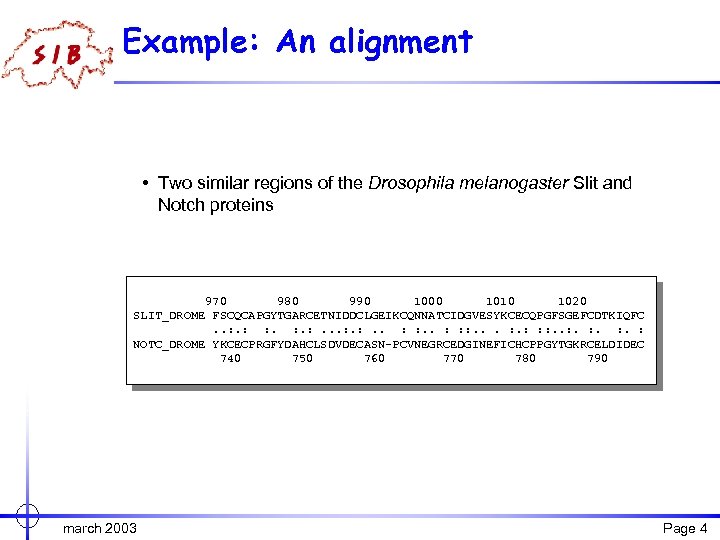 Example: An alignment • Two similar regions of the Drosophila melanogaster Slit and Notch