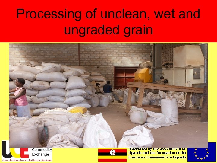 Processing of unclean, wet and ungraded grain • 3174 MT of Maize crossed from